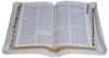 Picture of Holy Bible New Van Dyke( 47 TIZ)