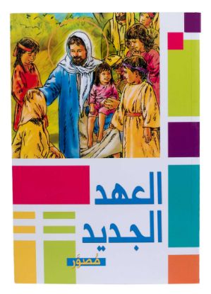 Picture of New Testament Illustrator - soft cover